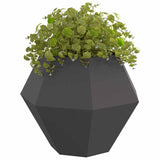 Vidaxl plantenbak 2 pcs zwart 100 x 100 x 80 cm staal