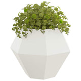Vidaxl plantenbak wit 100 x 100 x 80 cm staal