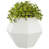 Vidaxl plantenbak 2 pcs wit 75 x 75 x 60 cm staal