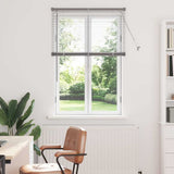 Vidaxl venetiaanse jaloezieën zilver 130 x 95 cm aluminium