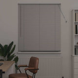 Vidaxl venetiaanse jaloezieën zilver 175 x 115 cm aluminium