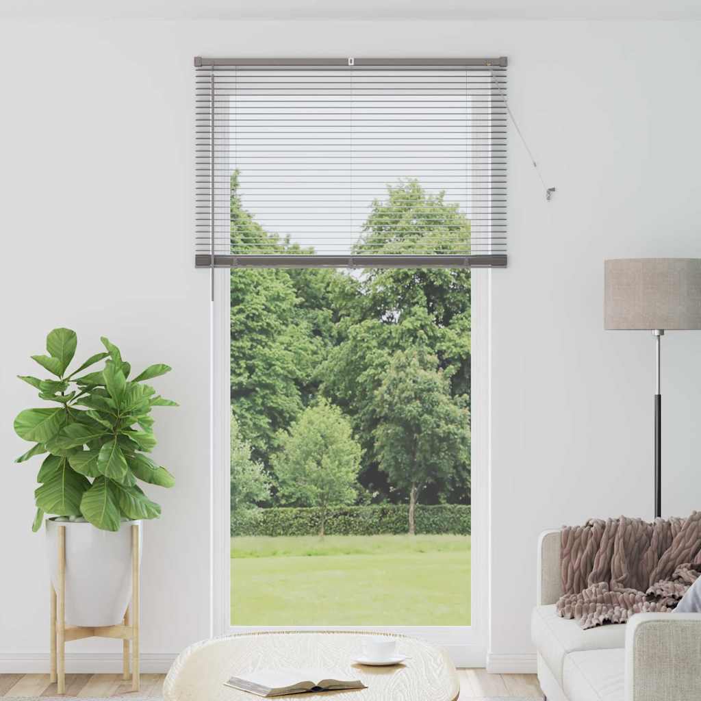 Vidaxl venetiaanse jaloezieën zilver 220 x 110 cm aluminium