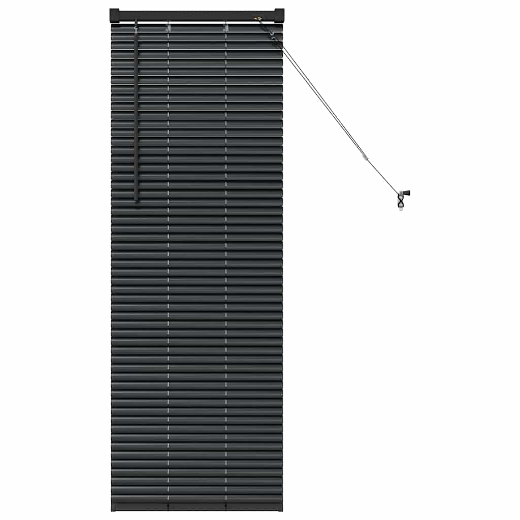 Vidaxl venetiaanse jaloezieën zwart 130 x 45 cm aluminium