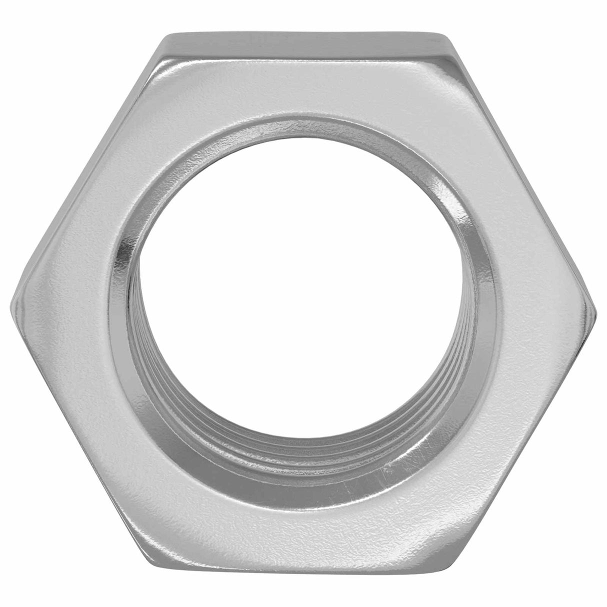 Vidaxl zeshoekige moer 12 pcs zilver m6 ijzer