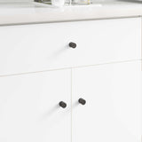 Vidaxl kastknop 1011 pcs zwart ijzer