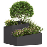 Vidaxl tuin bloempot zwart 60 x 60 x 50 cm koudgewalst staal