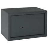 Vidaxl kluisdoos met slot donkergrijs 31 x 20 x 20 cm staal