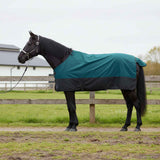 Vidaxl paardendeken donkergroen en zwart 105 cm polyester