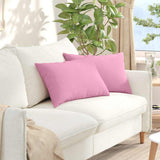 Vidaxl sofa kussens 2 pcs roze 60 x 40 cm stof