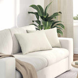 Vidaxl sofa kussens 2 stuks crème 60 x 40 cm cordstof