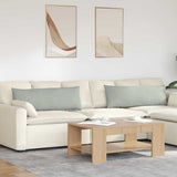Vidaxl sofa kussens 2 stuks lichtgrijs 120 x 40 cm cordstof
