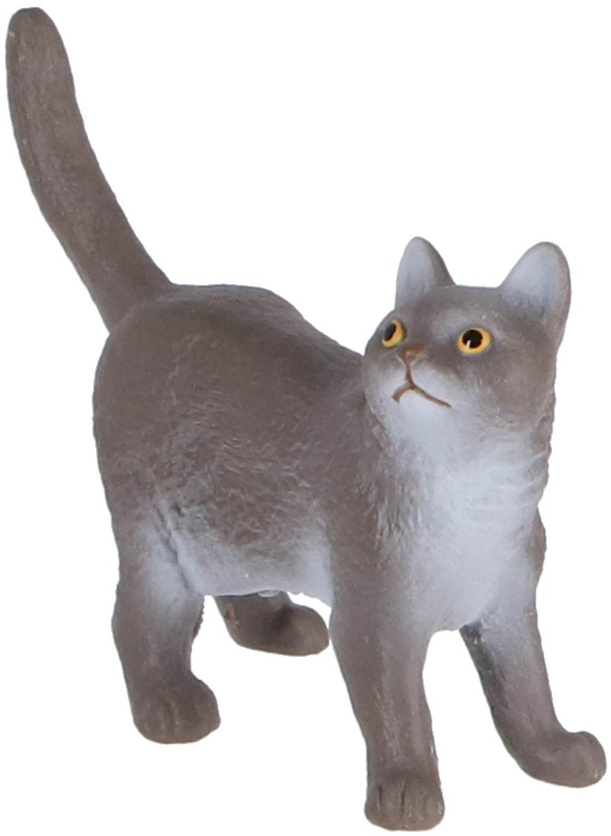 Schleich farm world - britisk korthår - 13973