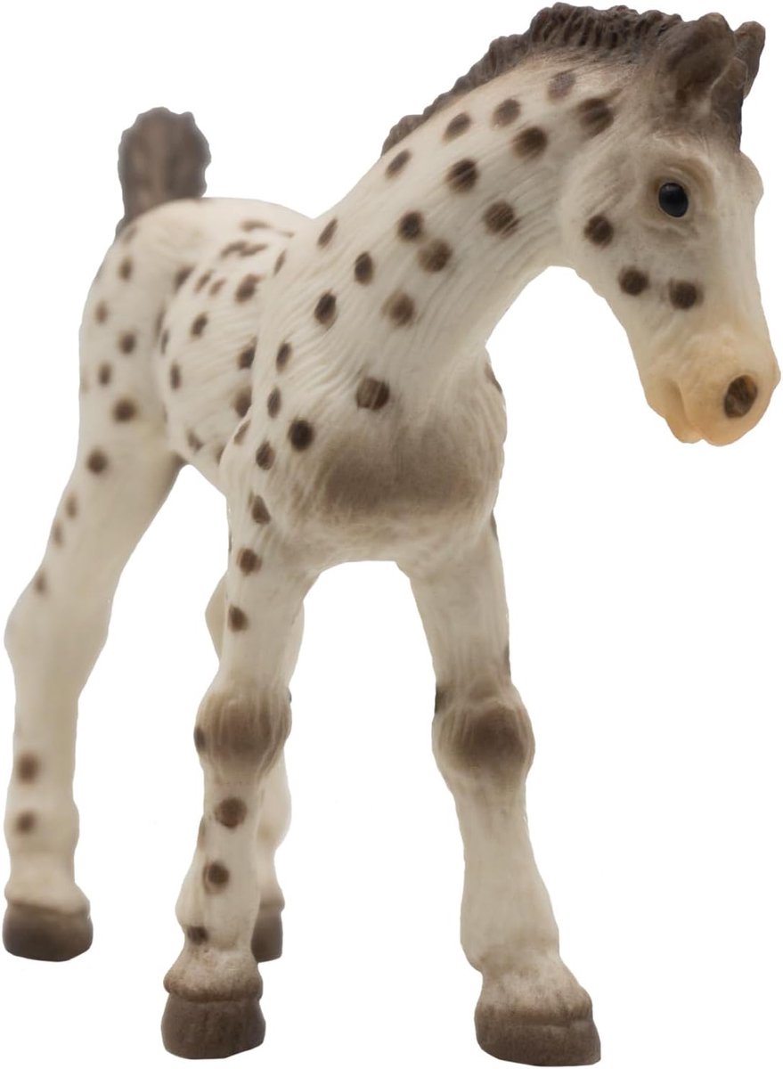 Bullyland 62673 – legefigur og samlerfigur knabstrupper føl – ca. 7 cm – naturtro og detaljeret design – ideel som pædagogisk legefigur og lille gave til børn fra 3 år.