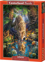 Castorland wolf in the wild – puslespil – 1.500 brikker – satin finish – perfekt pasform – europæisk kvalitet