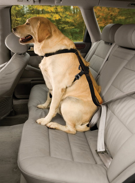 Kurgo hundesele tru-fit smart sele nylon sort størrelse xs