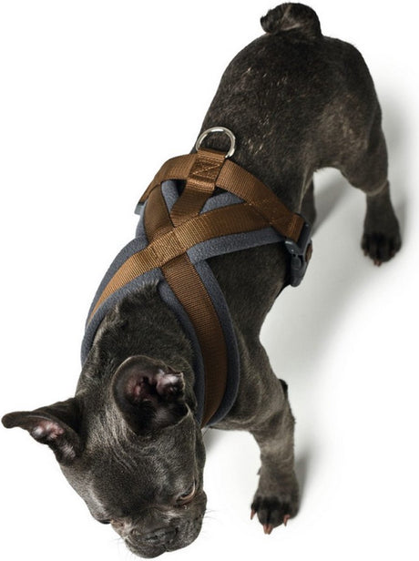 Jægerhundesele London comfort 48-56 cm brun str. s m