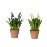 Decoris kunstige plantedruer i potte ø11xh26cm 2 assorteret