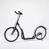 Scooter Bike 2 Go 20 sort