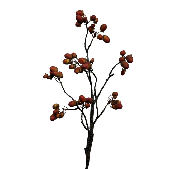 Roberts kollektion kunstgren med orange bær 90cm