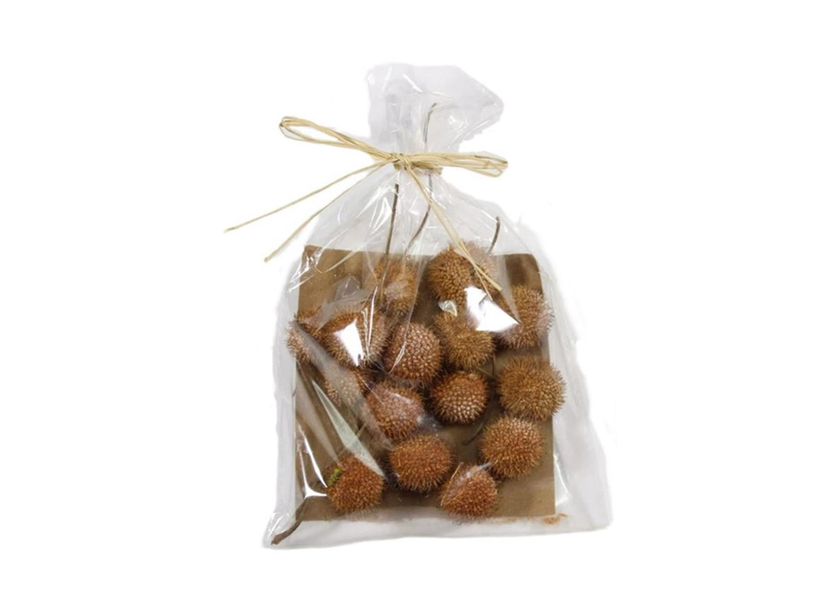 HBx natural living dekorationssæt platantræ frugt 50gr