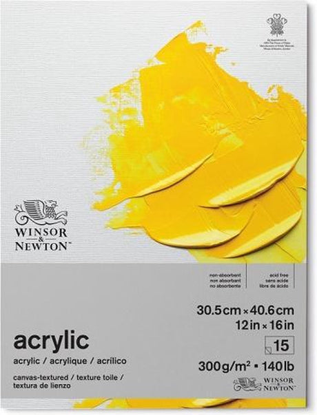 Winsor newton acrylic papier 31x41