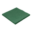 Servet groen 2-laags 33x 33cm (2000 stuks)