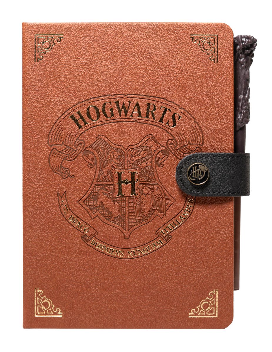 Pyramid international notitieboek - harry potter: hogwarts met pen - a5