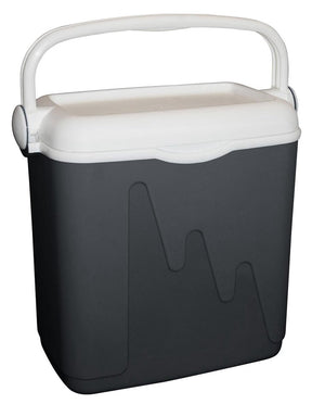 Curver køleboks - 20l - antracit