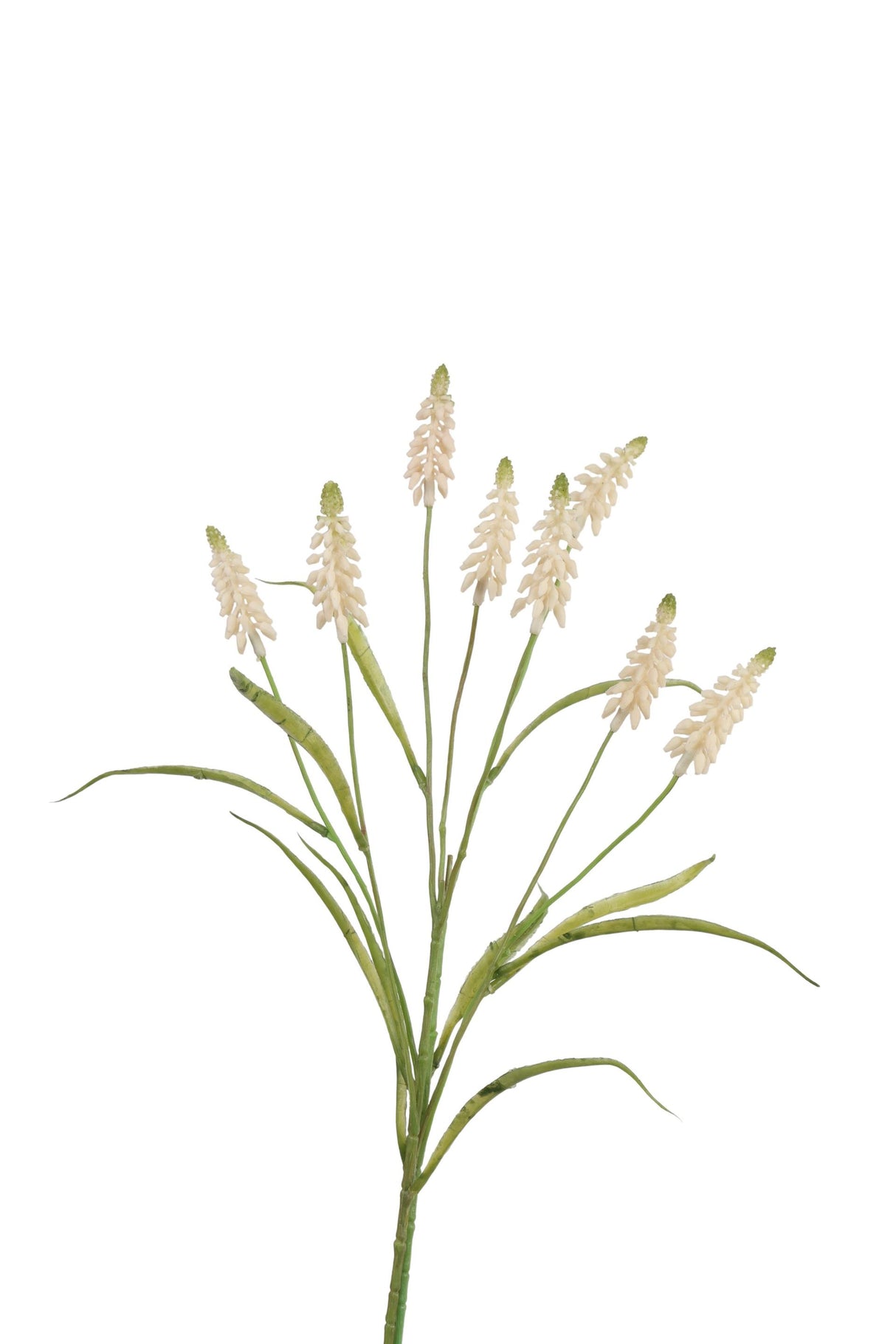 Roberts collection kunstbloem druifjes wit 60cm bundel van 2