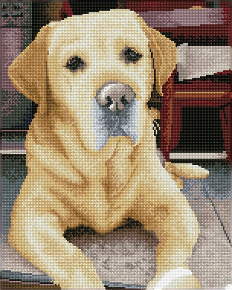Diamond dotz® diamantmaleri - labrador - 48x58cm - firkanter