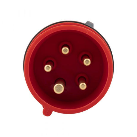 Enzo cee stik 16a 5 pin