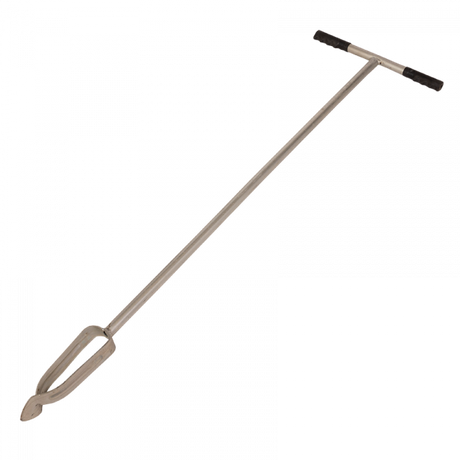 Jordbor 10 cm.