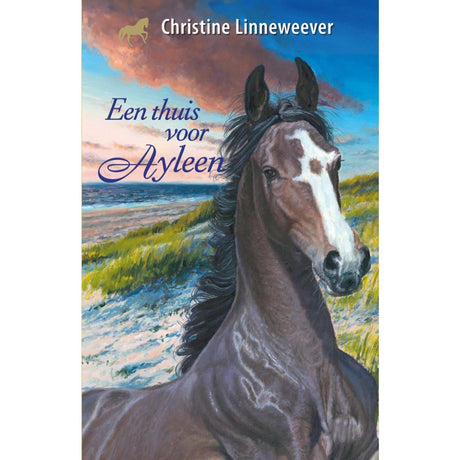 Kluitman et hjem for Ayleen