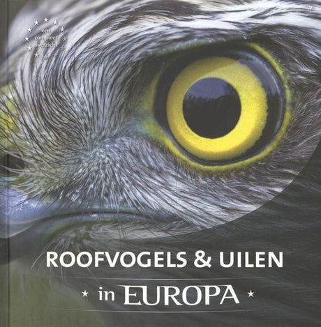 Roofvogels uilen in europa volwassene | 2 stuks