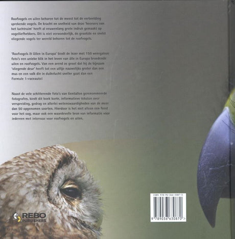 Roofvogels uilen in europa volwassene | 2 stuks