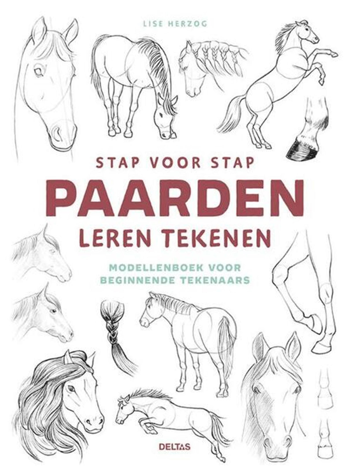 Deltas lærer at tegne heste trin for trin