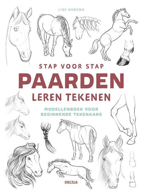 Deltas lærer at tegne heste trin for trin