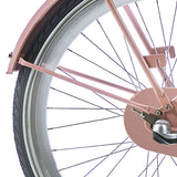 Alpina Mudguard Set 24 Clubb Desert Pink Matt
