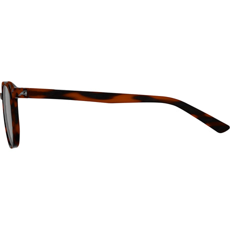 Olympic sportswear alpina sports lifestyle bril dimont zwarte lens havana