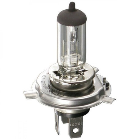 Bosma 12V 60 55W H4 P43T Halogen billampe