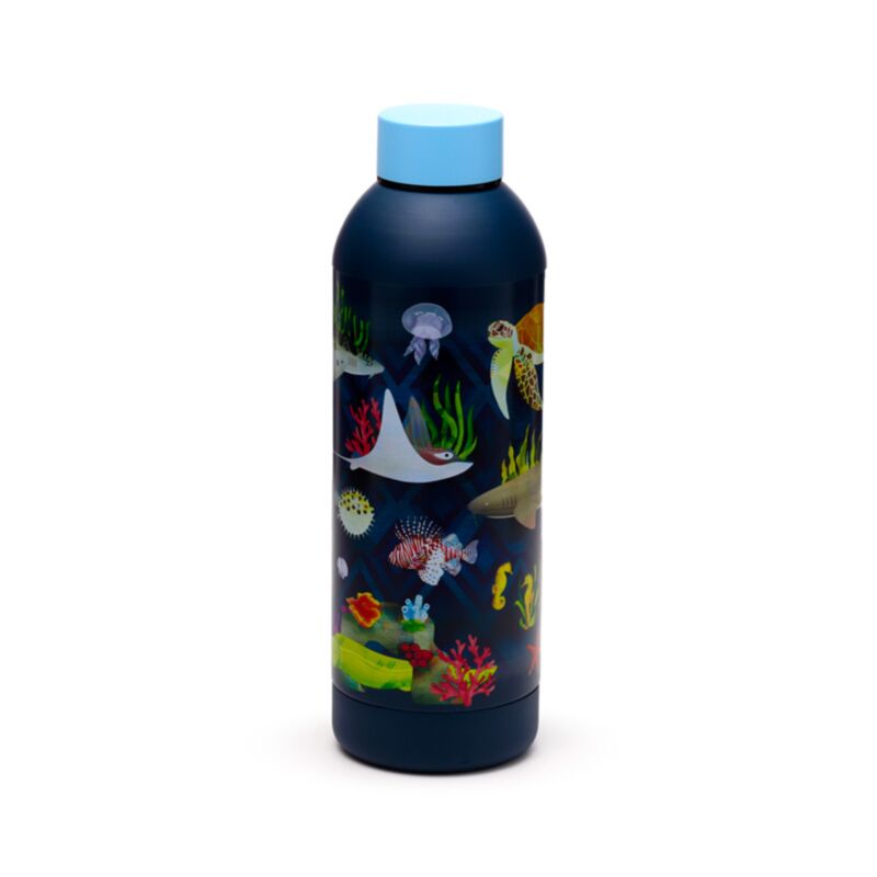 Marine kingdom termokande 530ml