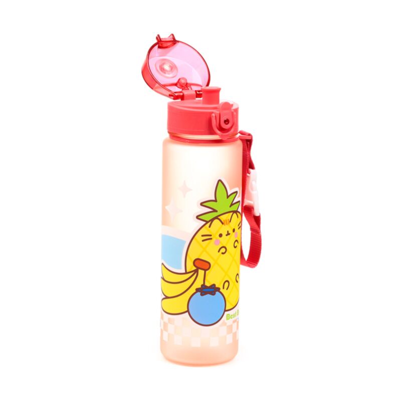 Union pusheen the cat fruit pop top 600ml ecozen drikkedunk