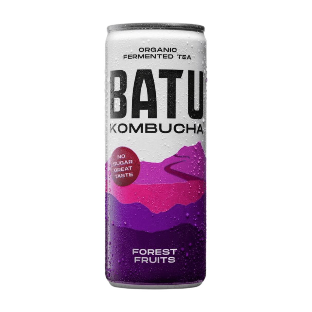Batu kombucha skovfrugter økologisk dåse (12x 25cl)