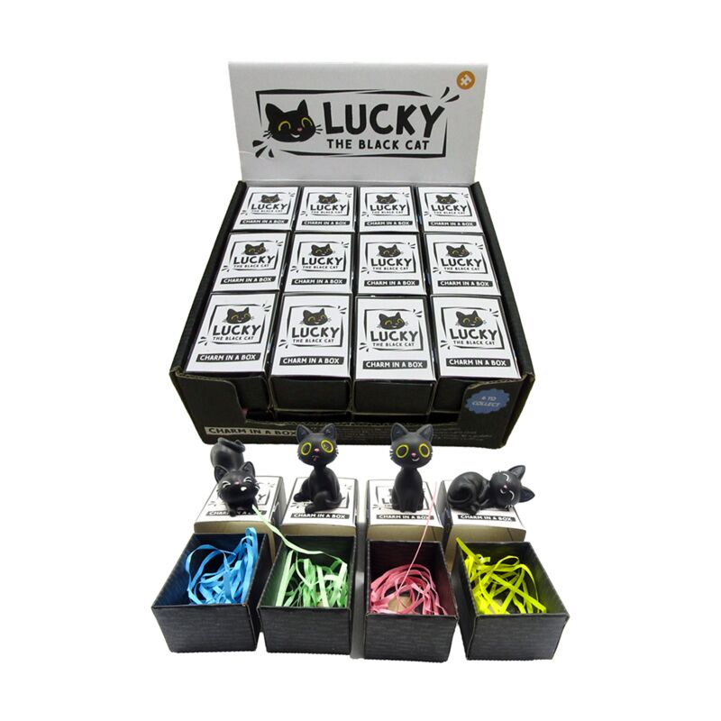 Lucky den sorte kat charm i æske