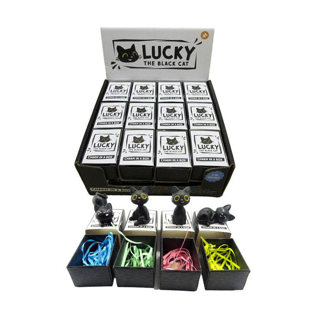 Lucky den sorte kat charm i æske