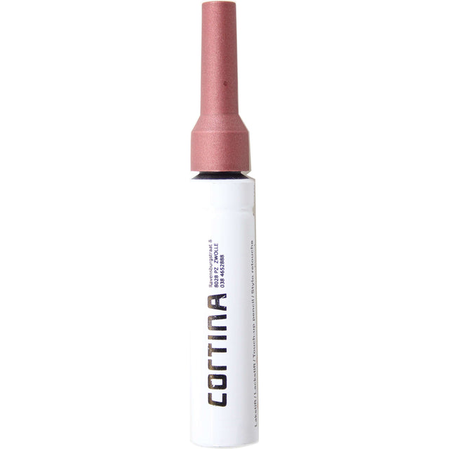 Cortina paint pen spicy silver mat