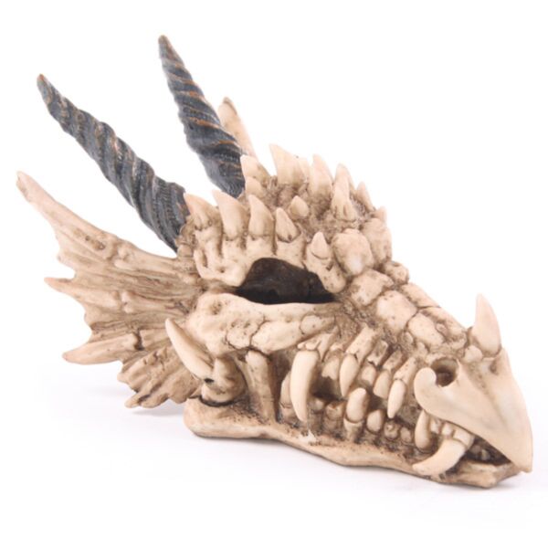 Dragon skull pengekasse