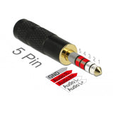 Delock 5-Pin stereo 4,4 mm mandlig jack til 4-polet stereoanlæg