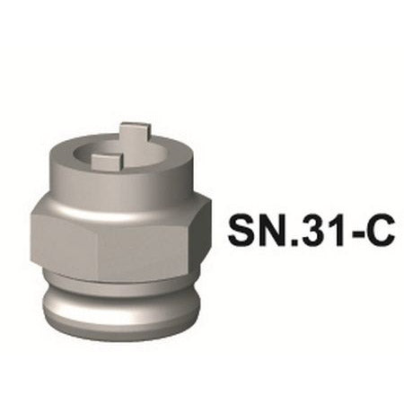 Snap. I kundepion sn.31-c atom Maillard Regina
