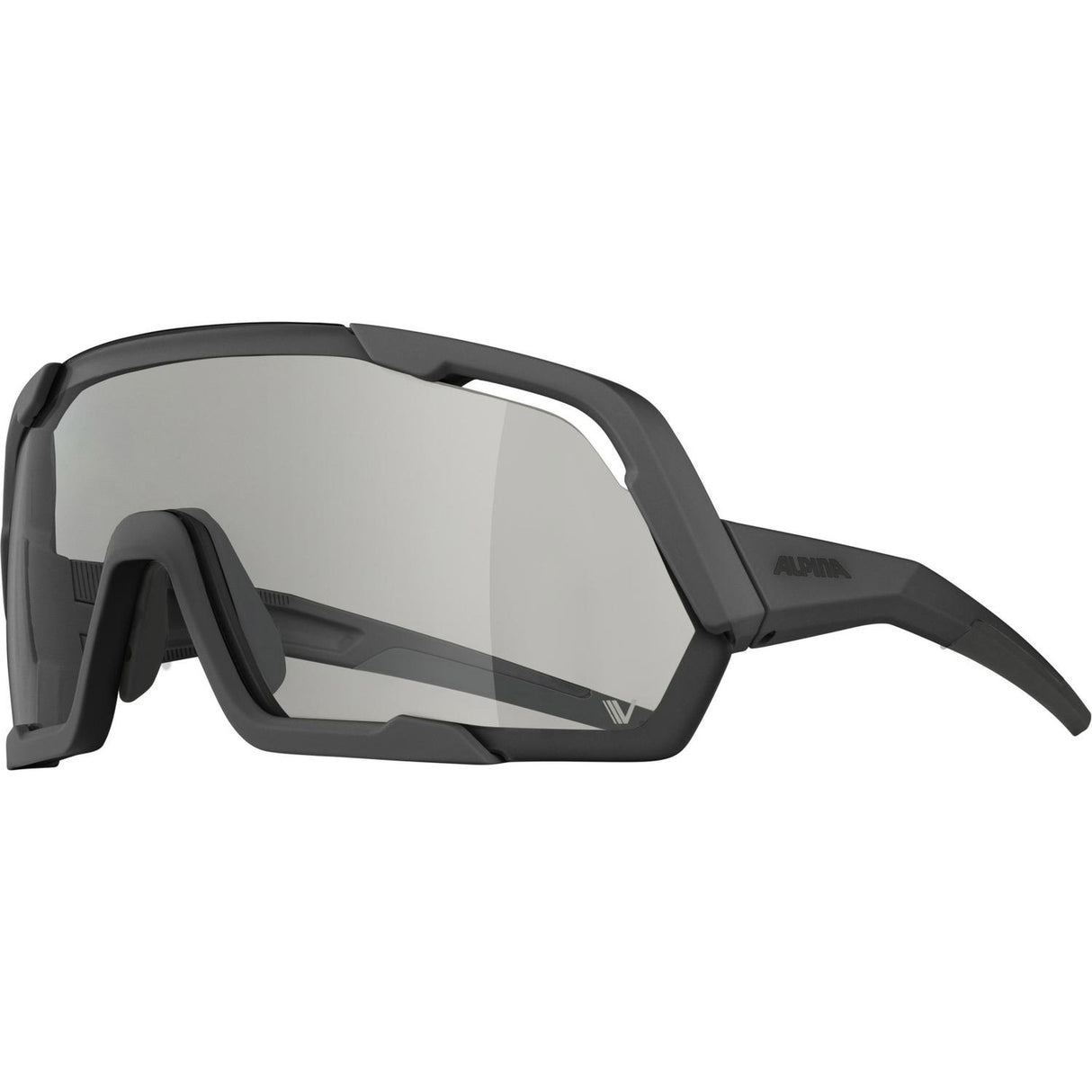 Alpina sports-sportsbriller rocket v mat sort